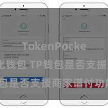 TokenPocket去中心化钱包 TP钱包是否支援商家谱付功能？